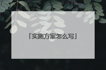 实施方案怎么写