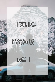 实训总结简短版10篇