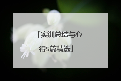 实训总结与心得5篇精选