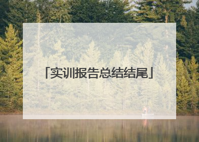 实训报告总结结尾