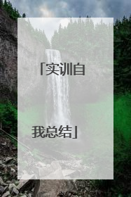 实训自我总结