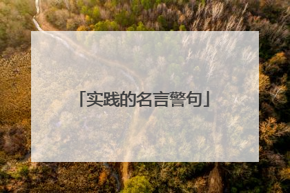 实践的名言警句