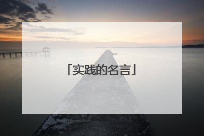 实践的名言