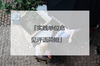 实践单位意见评语简短