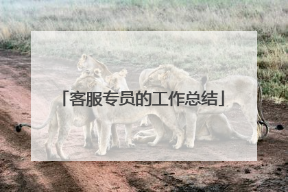 客服专员的工作总结