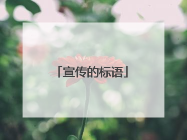 宣传的标语