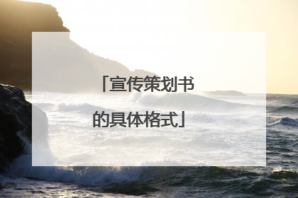 宣传策划书的具体格式