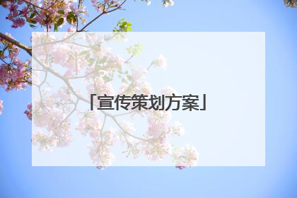 宣传策划方案