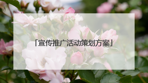 宣传推广活动策划方案