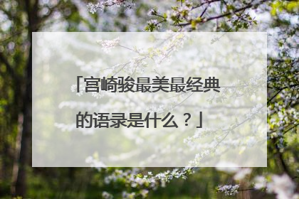 宫崎骏最美最经典的语录是什么?