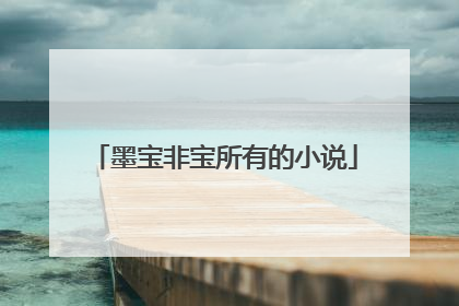 墨宝非宝所有的小说