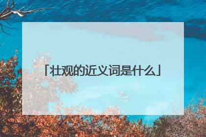 壮观的近义词是什么