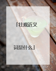 壮观近义词是什么