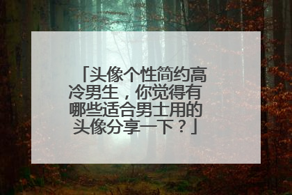 头像个性简约高冷男生,你觉得有哪些适合男士用的头像分享一下?