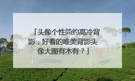 头像个性简约高冷背影,好看的唯美背影头像大图有木有?