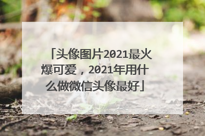 头像图片2021最火爆可爱,2021年用什么做微信头像最好