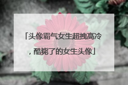 头像霸气女生超拽高冷,酷毙了的女生头像