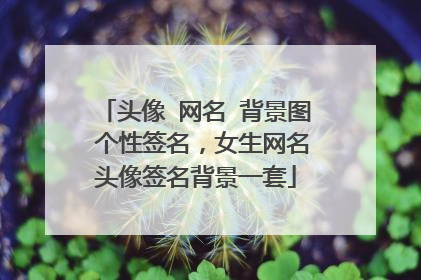 头像 网名 背景图 个性签名,女生网名头像签名背景一套