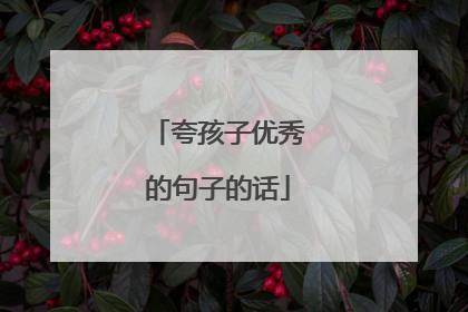 夸孩子优秀的句子的话