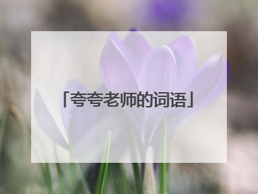 夸夸老师的词语