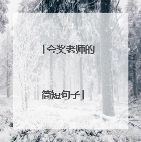 夸奖老师的简短句子