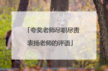 夸奖老师尽职尽责表扬老师的评语