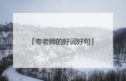 夸老师的好词好句