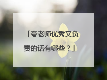 夸老师优秀又负责的话有哪些？