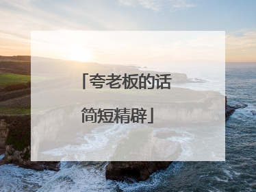 夸老板的话简短精辟