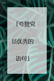 夸赞党员优秀的语句