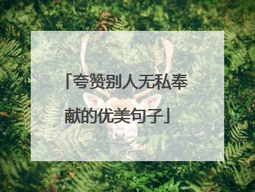 夸赞别人无私奉献的优美句子