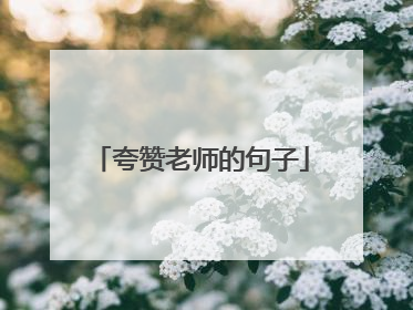 夸赞老师的句子