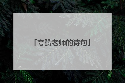 夸赞老师的诗句