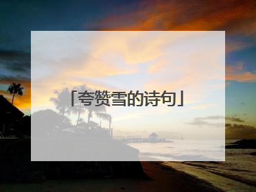 夸赞雪的诗句