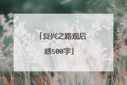 复兴之路观后感500字