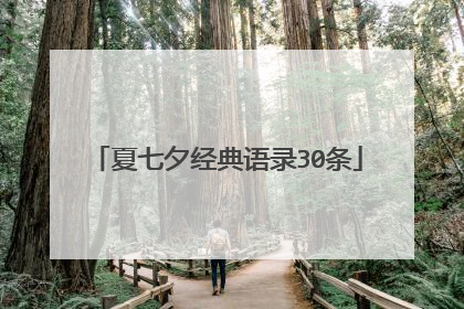 夏七夕经典语录30条