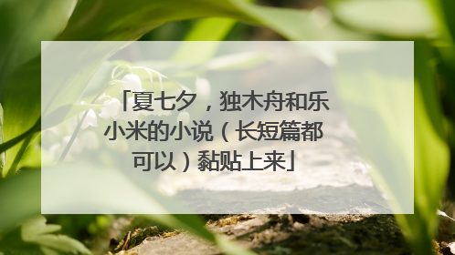 夏七夕，独木舟和乐小米的小说（长短篇都可以）黏贴上来
