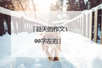 夏天的作文100字左右