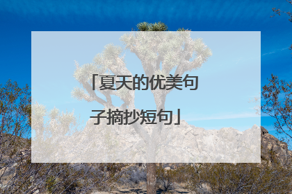 夏天的优美句子摘抄短句
