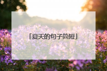 夏天的句子简短