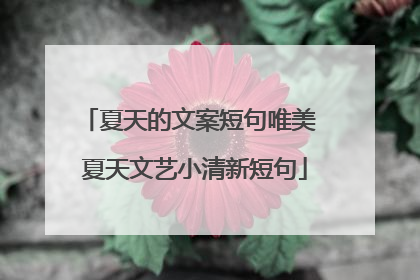 夏天的文案短句唯美 夏天文艺小清新短句