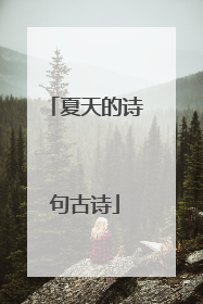 夏天的诗句古诗
