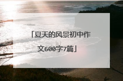 夏天的风景初中作文600字7篇