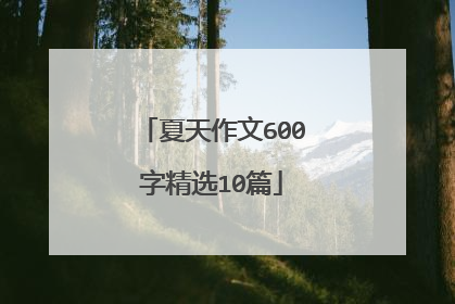 夏天作文600字精选10篇