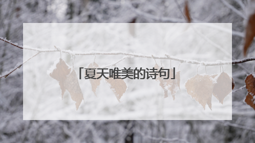 夏天唯美的诗句
