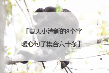 夏天小清新的8个字暖心句子集合六十条