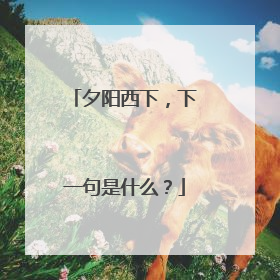 夕阳西下，下一句是什么？