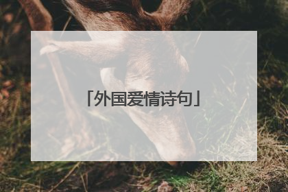 外国爱情诗句