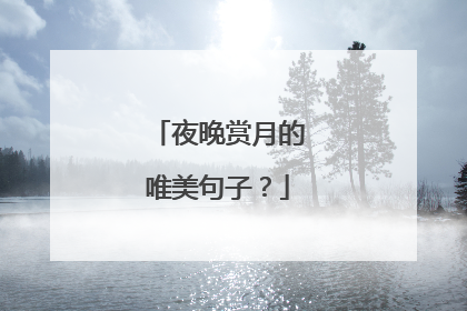 夜晚赏月的唯美句子？