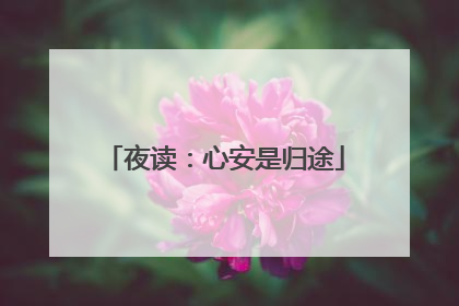 夜读:心安是归途